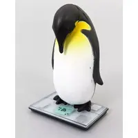 Trading Figure - What's my weight today?