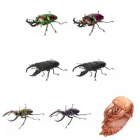 Trading Figure - Ikimono Daizukan