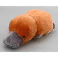 Plush - Platypus