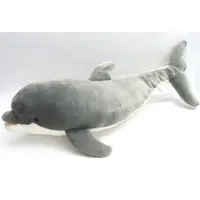 Plush - Dolphin