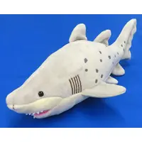 Plush - Shark