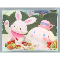 Cushion - Sanrio characters / Cinnamoroll & Wish me mell