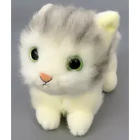 Plush - Cat