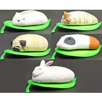 Trading Figure (全5種セット 「めーちっさい いもむしどうぶつ」)