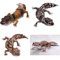 Trading Figure - Ikimono Daizukan