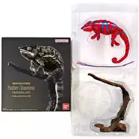 Trading Figure - Ikimono Daizukan