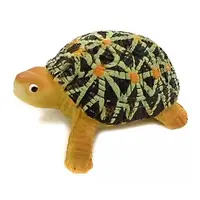 Trading Figure - 3D Capsule Encyclopedia