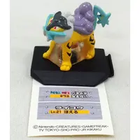 Trading Figure - Pokémon / Raikou