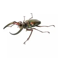 Trading Figure - Ikimono Daizukan