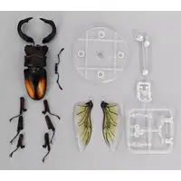 Trading Figure - Ikimono Daizukan