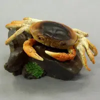 Trading Figure - Earth Life Journey