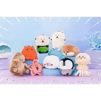 Japanese giant salamander