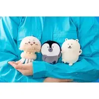 Japanese giant salamander