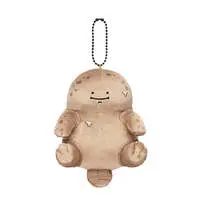 Japanese giant salamander