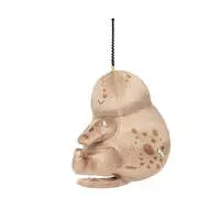 Japanese giant salamander