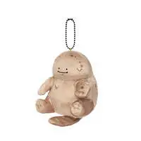 Japanese giant salamander