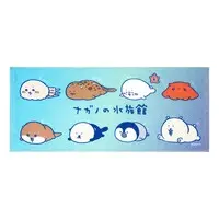 Towels - Chiikawa / Rakko