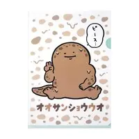 Stationery - Plastic Folder (Clear File) - Japanese giant salamander