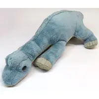 Plush - DISCOVER DINOSAURS