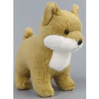 Plush - Dog