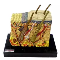 Trading Figure - Primary Color Encyclopedia Series