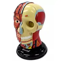 Trading Figure - Primary Color Encyclopedia Series