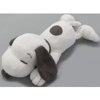 Plush - PEANUTS / Snoopy