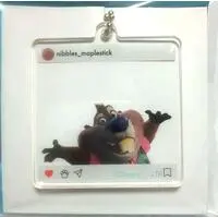 Key Chain - Zootopia