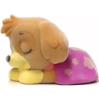 Trading Figure - PAW Patrol / Rocky & Skye