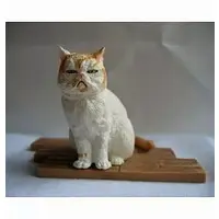 Trading Figure - Neargo Collection