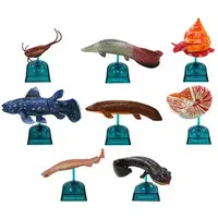 Trading Figure - Earth Life Journey