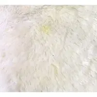 Plush - PEANUTS / Snoopy