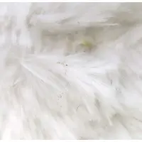 Plush - PEANUTS / Snoopy