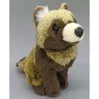 Plush - Tanuki (raccoon dog)