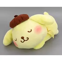 Plush - Sanrio / Pom Pom Purin