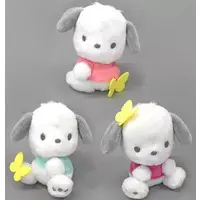 Plush - Sanrio / Pochacco