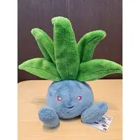 Plush - Pokémon / Oddish
