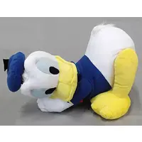 Plush - Disney / Donald Duck
