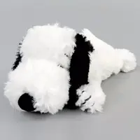 Plush - PEANUTS / Snoopy