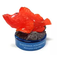Trading Figure - Enoshima Aquarium