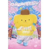 Postcard - Sanrio characters / Pom Pom Purin