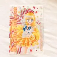 Plastic Folder (Clear File) - Sailor Moon