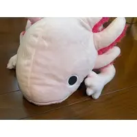 Plush (わくでかぬいぐるみ　珍獣捕獲シリーズ〜メガウーパールーパー〜)