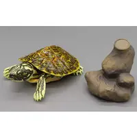 Trading Figure - Ikimono Daizukan