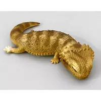 Trading Figure - African fat-tailed gecko and bearded dragon