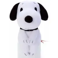 Chokkorisan - PEANUTS / Snoopy