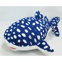 Plush - Shark