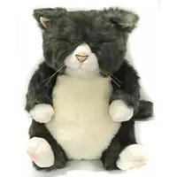 Plush - Cat