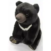 Plush - Bear