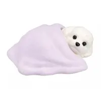 Trading Figure - Pokapoka wanko